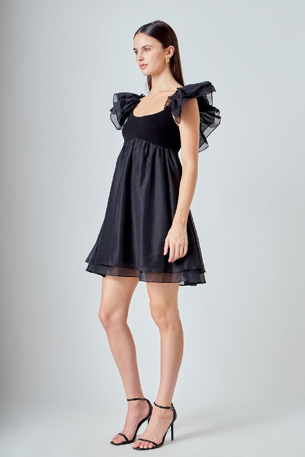 Endless Rose Organza Sleeve Mini Dress BLACK