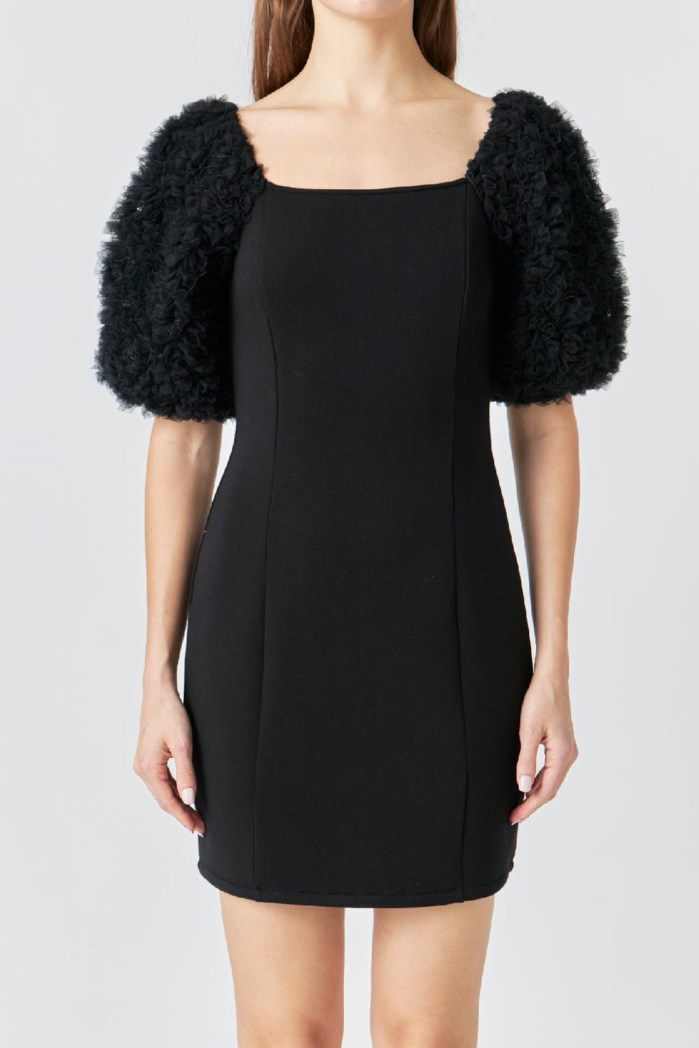 Endless Rose Puff Sleeve Mini Dress BLACK