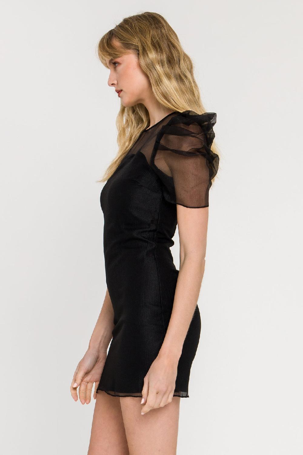 Endless Rose Puffed Sleeve Organza Dress BLACK
