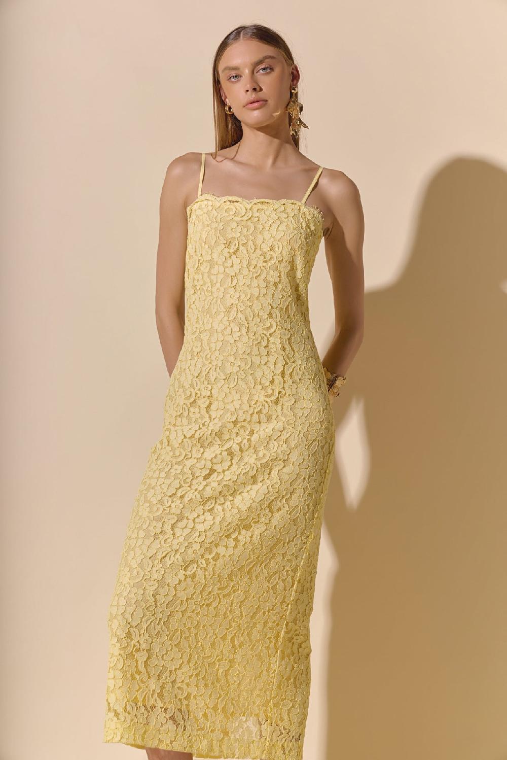 endless rose Square Neck Lace Midi Dress BUTTER