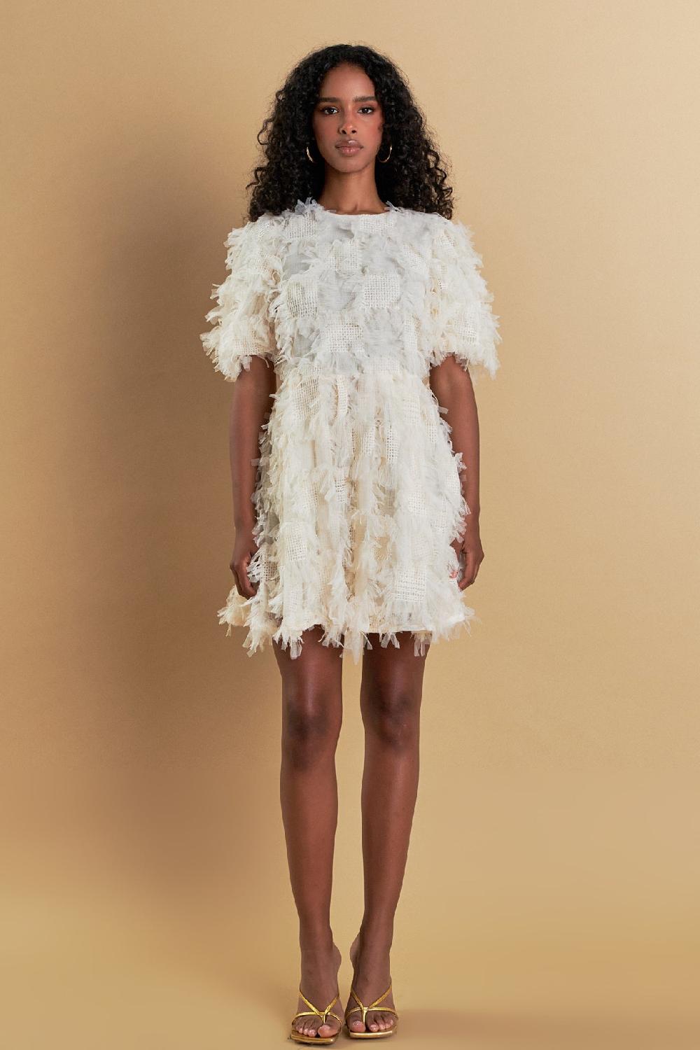 Endless Rose Textured Mesh Mini Dress CREAM