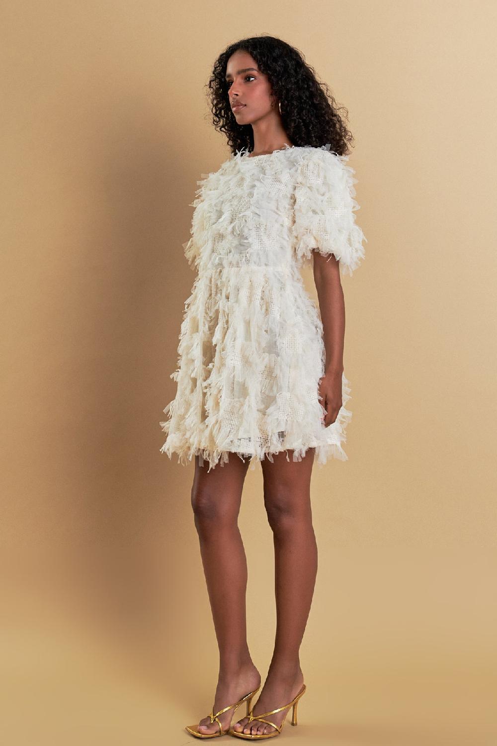Endless Rose Textured Mesh Mini Dress CREAM