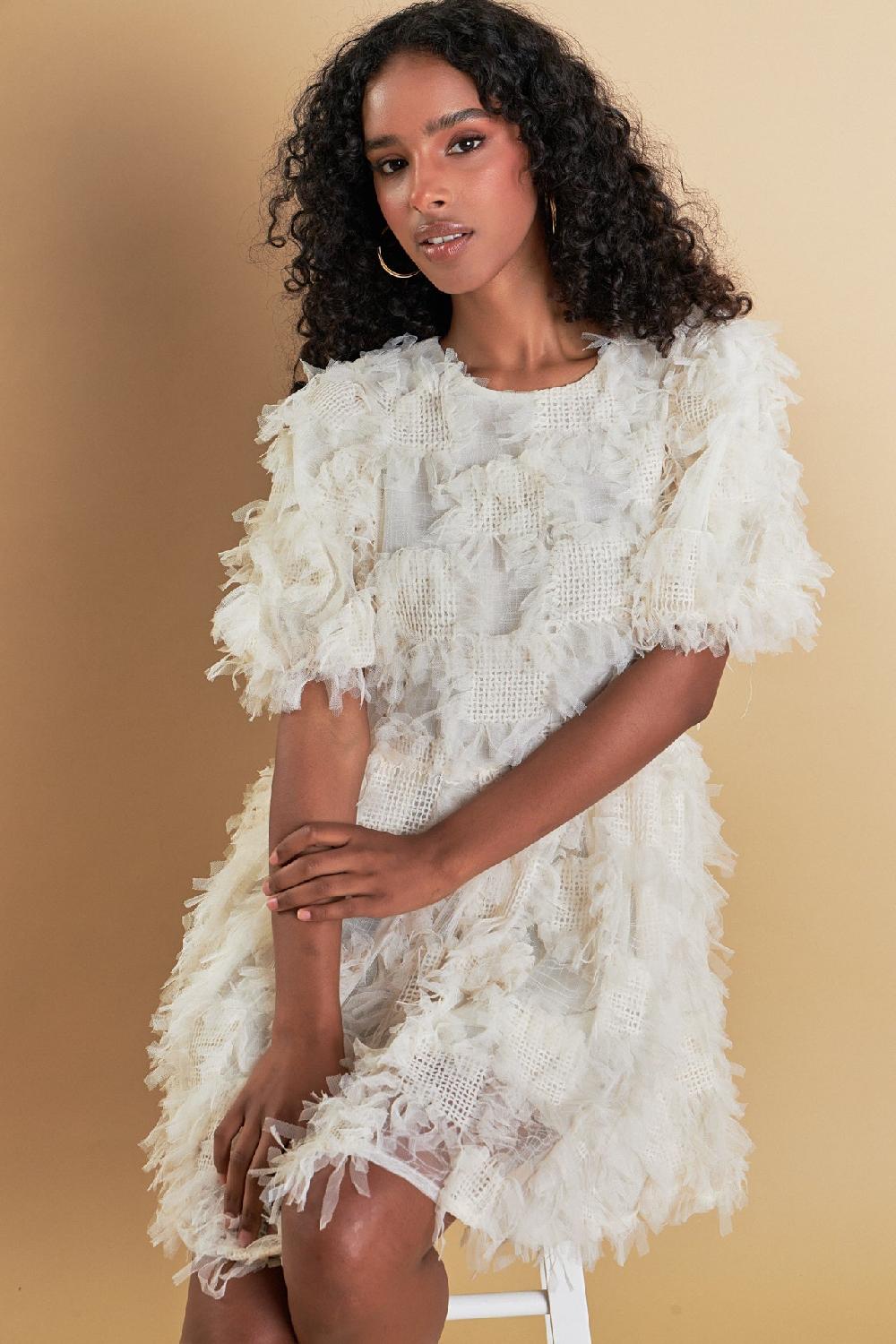 endless rose Textured Mesh Mini Dress CREAM