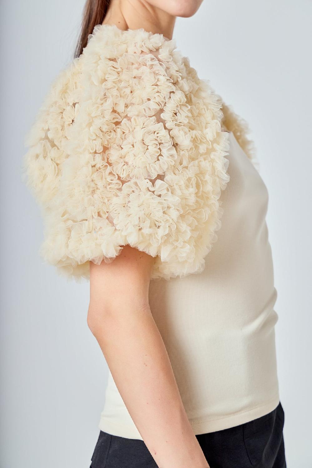 Endless Rose Tulle Puff Sleeve Top IVORY