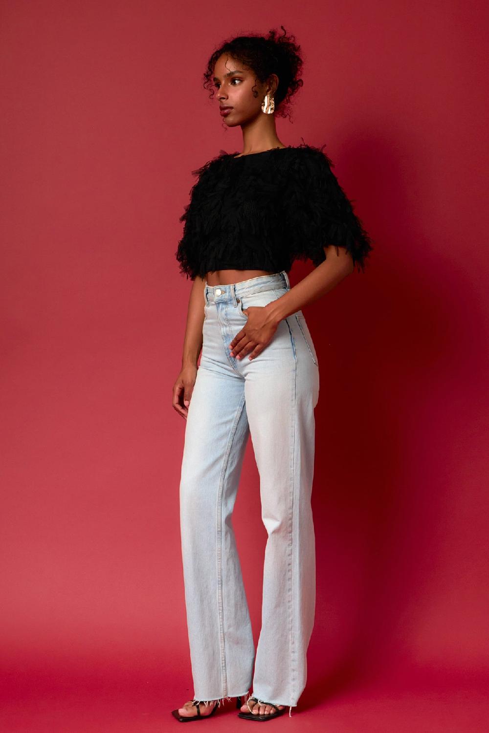 Endless Rose Gridded Mesh Feathered Cropped Top BLACK