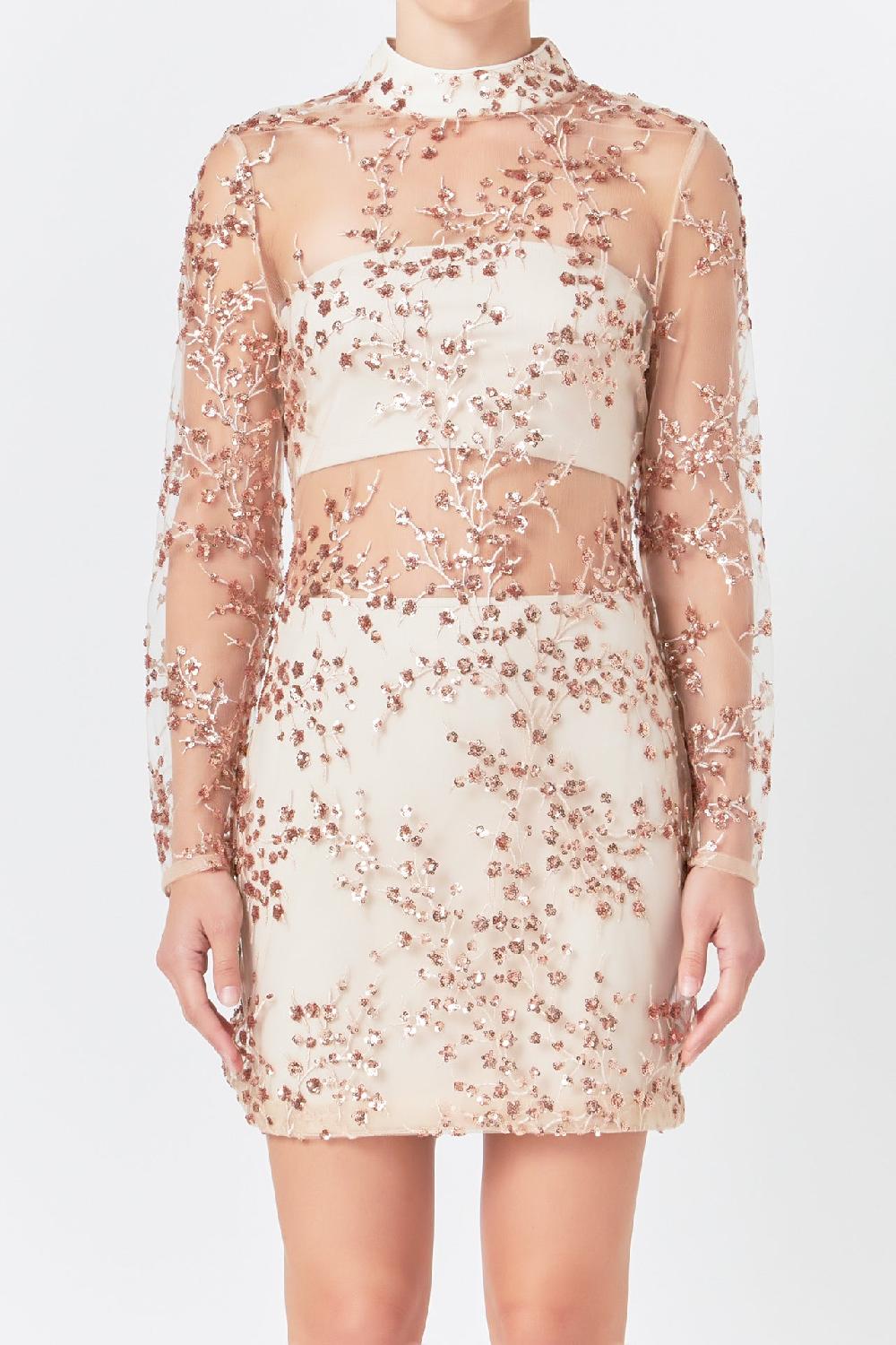 Endless Rose Sequins Embroidered Mini Dress CHAMPAGNE