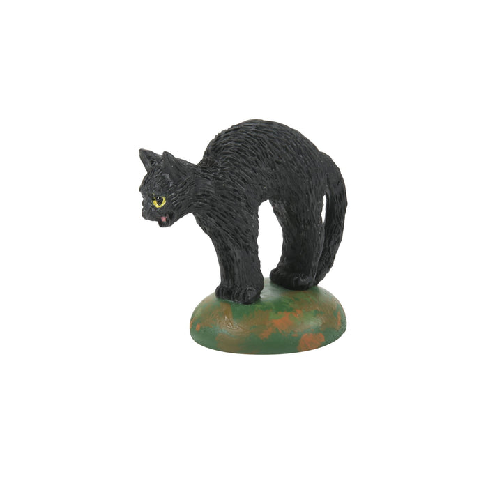 Endura A Clowder Of Black Cats
