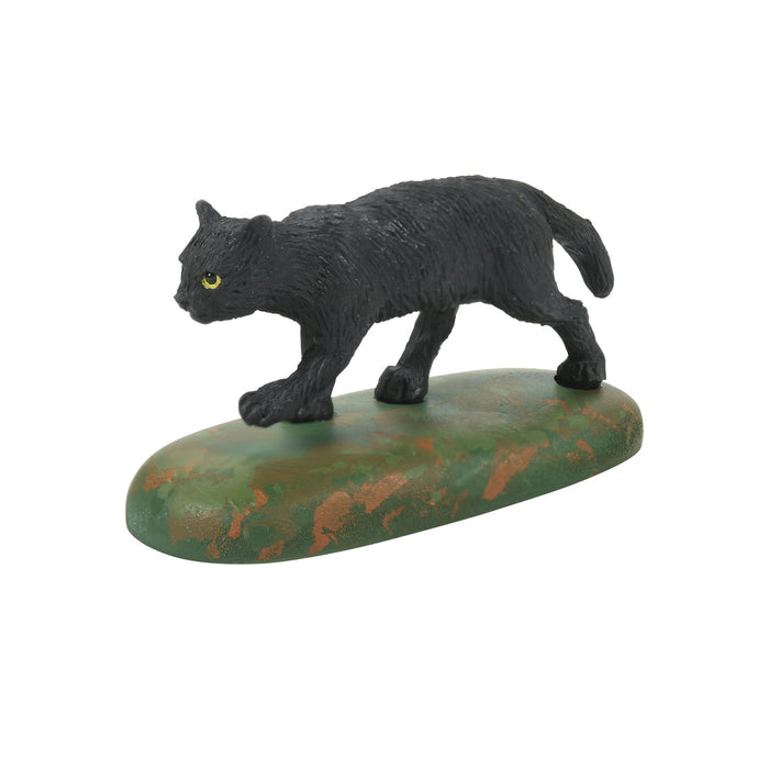 Endura A Clowder Of Black Cats