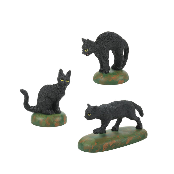 endura A Clowder Of Black Cats
