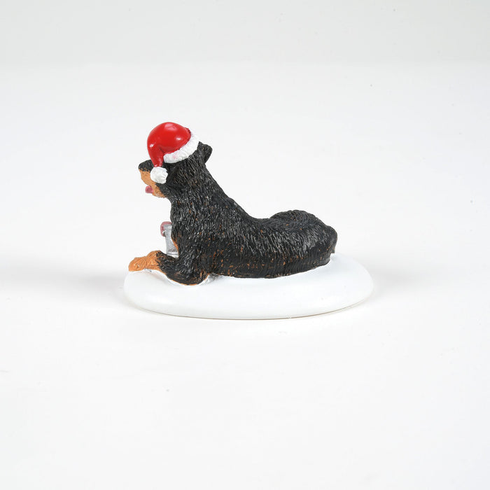 Endura A Perfect Gift For Snots