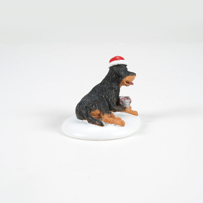 Endura A Perfect Gift For Snots