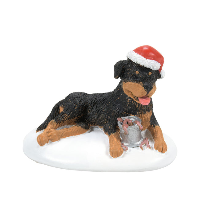 endura A Perfect Gift For Snots