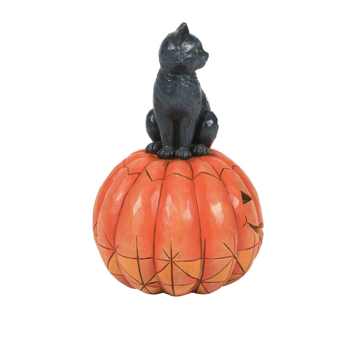 Endura Black Cat On Pumpkin LED Fig