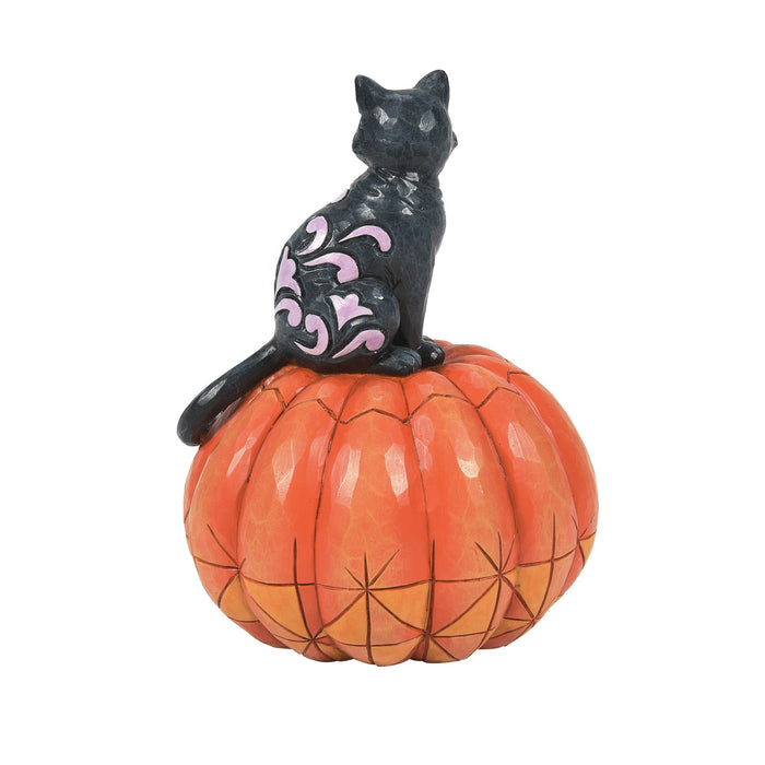 Endura Black Cat On Pumpkin LED Fig