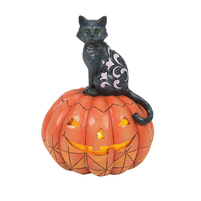 endura Black Cat on Pumpkin LED Fig