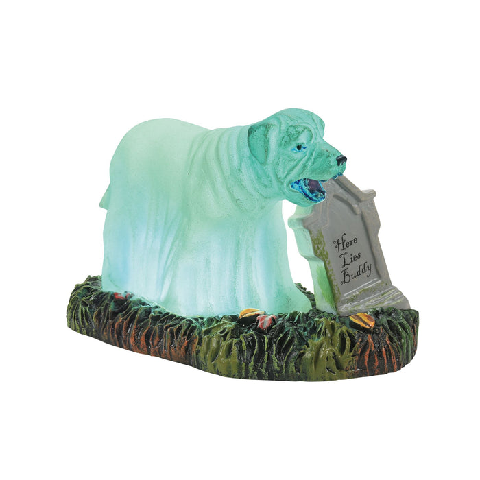 endura Buddy's Ghost
