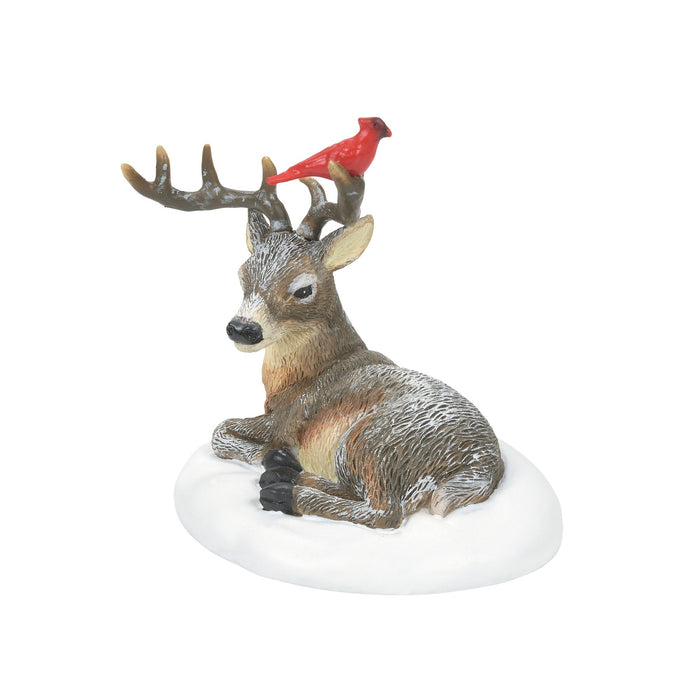 endura Cardinal Christmas Deer