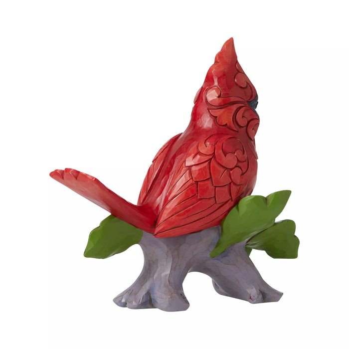 Endura Cardinal On Branch