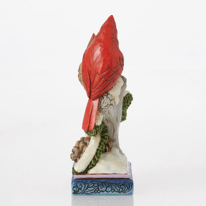 Endura Cardinals On Snowy Branch