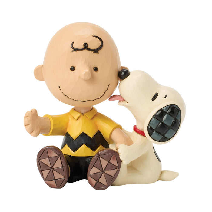 endura Charlie Brown with Snoopy