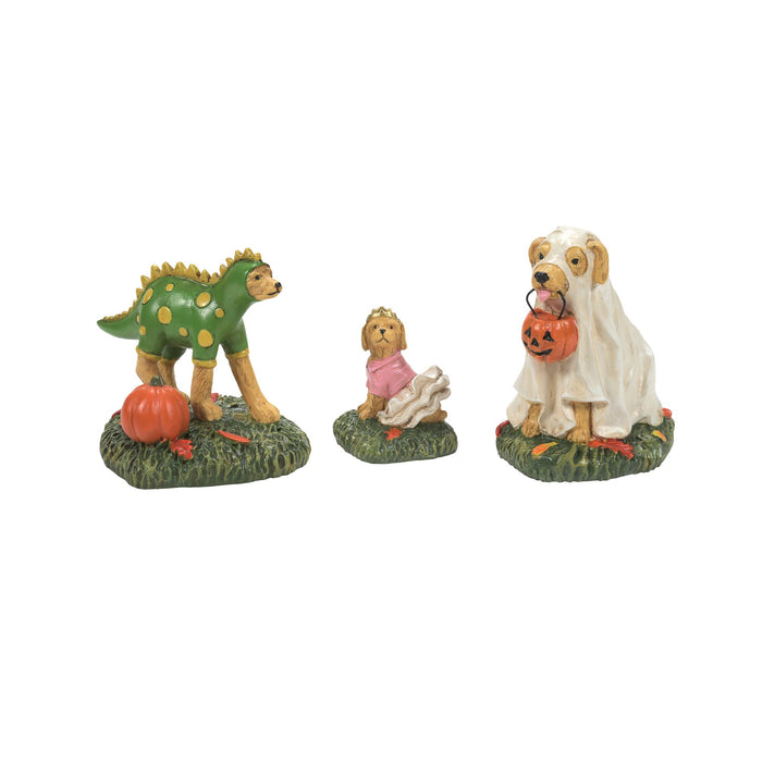 endura Family Hlwn Pups ST/3