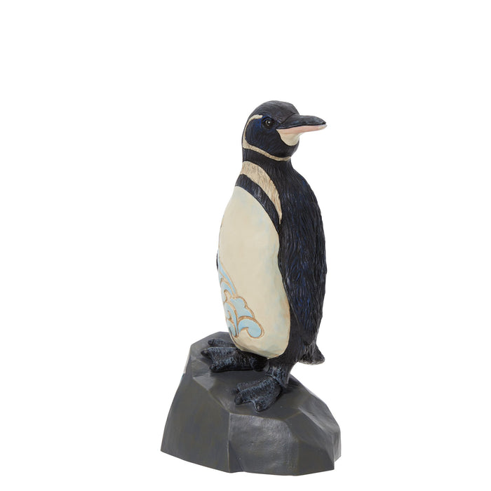 Endura Galapagos Penguin