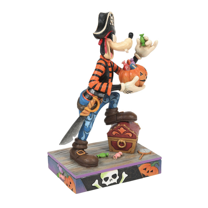 Endura Goofy Pirate Costume