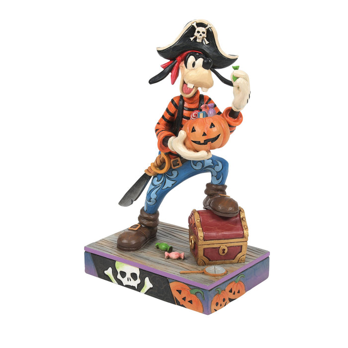 endura Goofy Pirate Costume