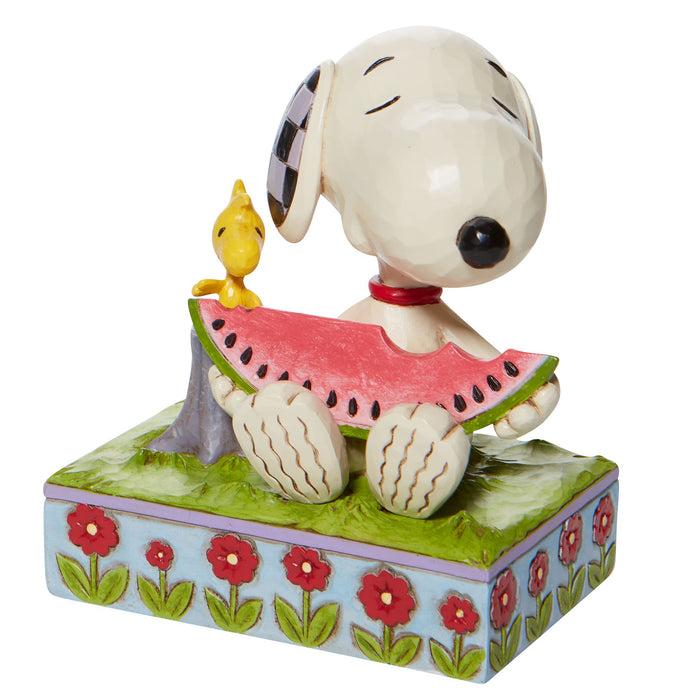 Endura JSPEA Snoopy Watermelon