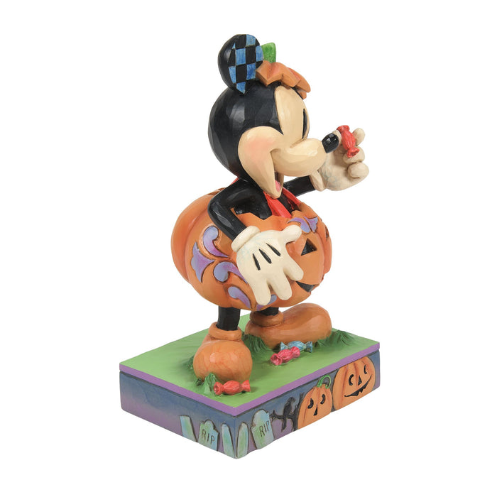 Endura Mickey Pumpkin Costume