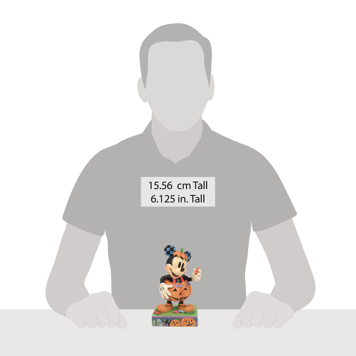 Endura Mickey Pumpkin Costume
