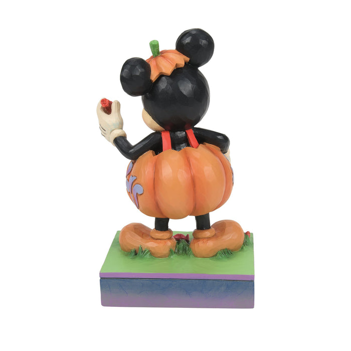 Endura Mickey Pumpkin Costume