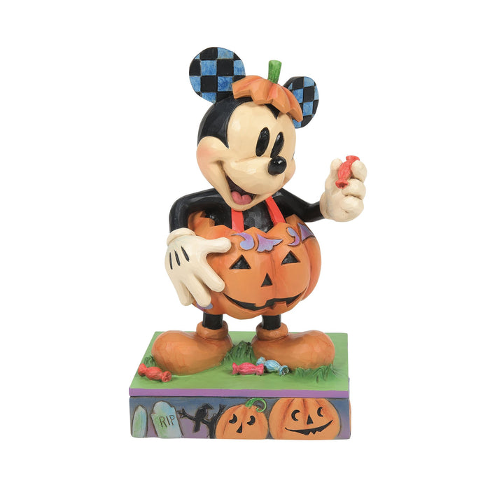 endura Mickey Pumpkin Costume