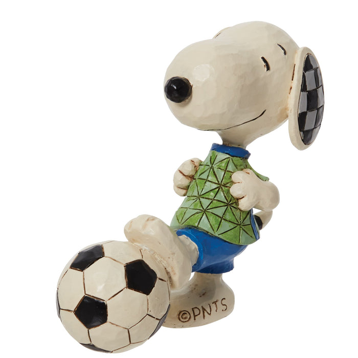 Endura Mini Snoopy Soccer