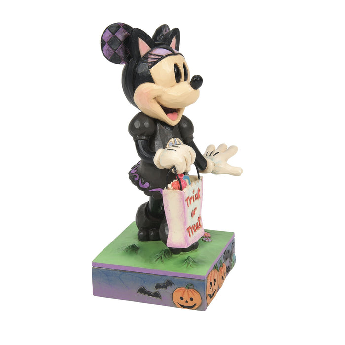 Endura Minnie Black Cat Costume