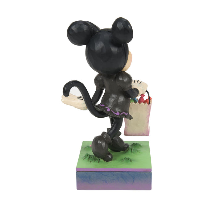 Endura Minnie Black Cat Costume