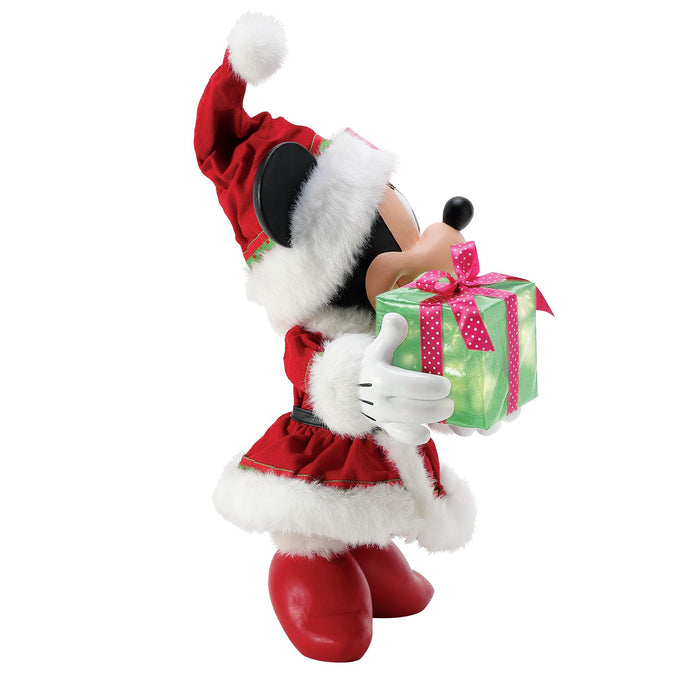Endura Minnie's Big Gift