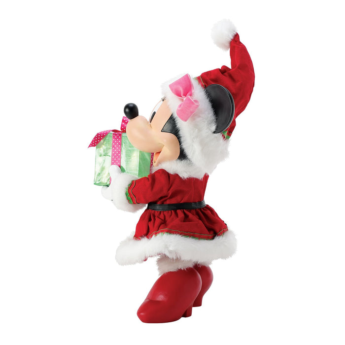 Endura Minnie's Big Gift