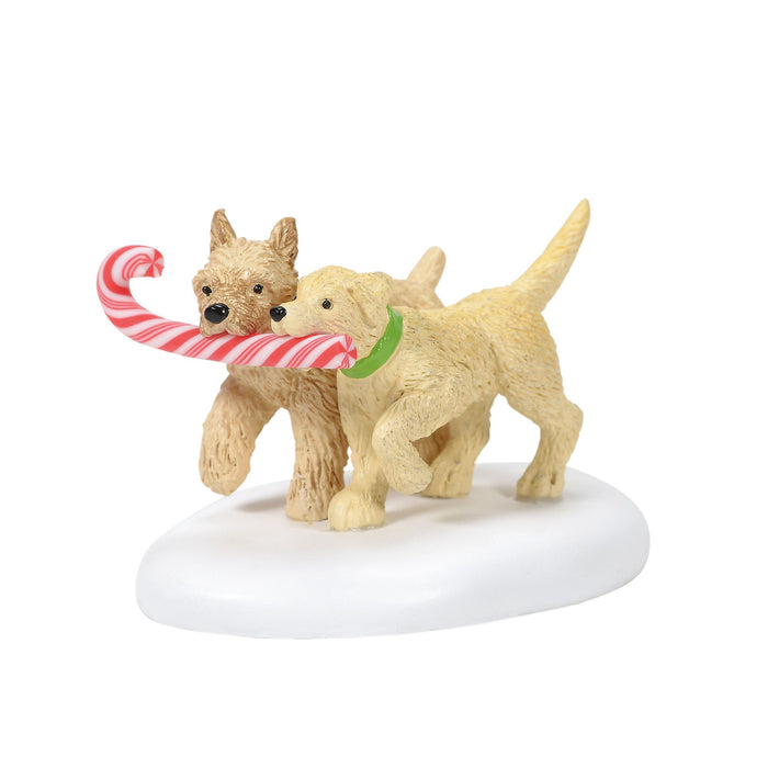 endura Peppermint Pups
