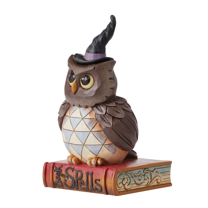Endura Pint Sized Halloween Owl