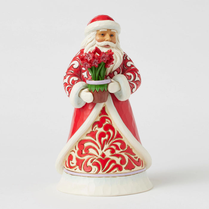 Endura Santa With Blooming Amaryllis
