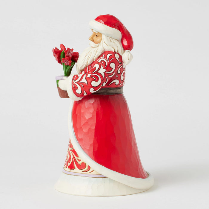 Endura Santa With Blooming Amaryllis