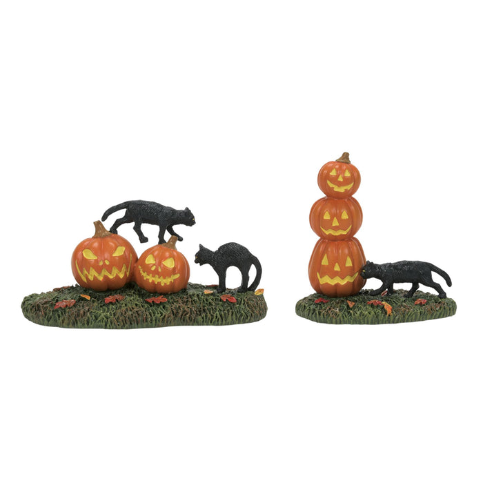 endura Scary Cats Pumpkins ST/2