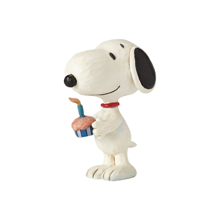 Endura Snoopy Birthday Mini