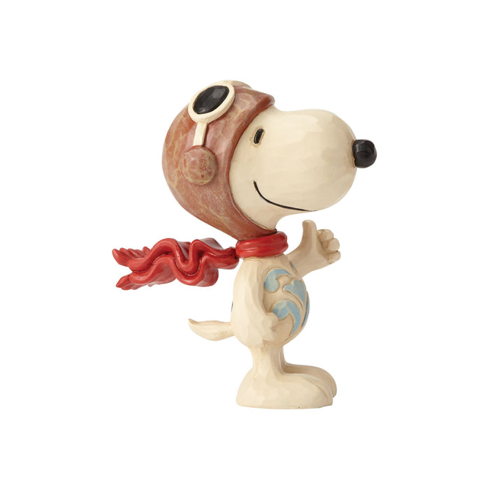 Endura Snoopy Flying Ace Mini