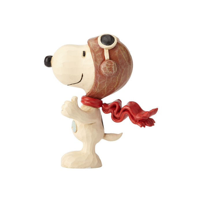 Endura Snoopy Flying Ace Mini