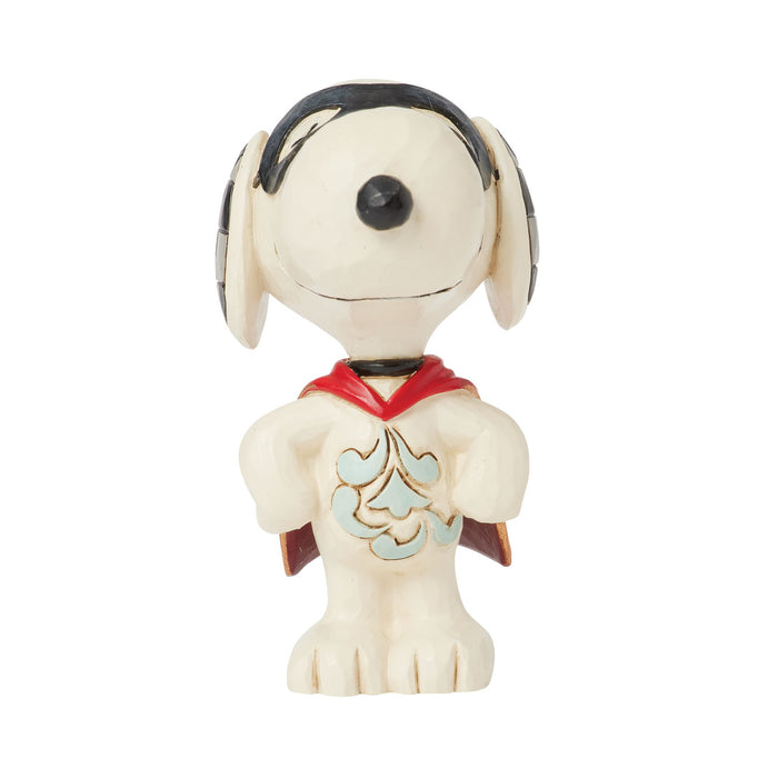 Endura Snoopy Superhero Mini