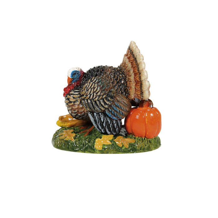 endura Tom Turkey