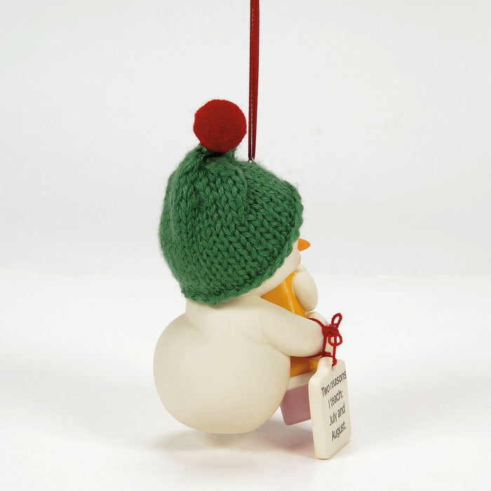 Endura Two Reasons I Teach Ornament