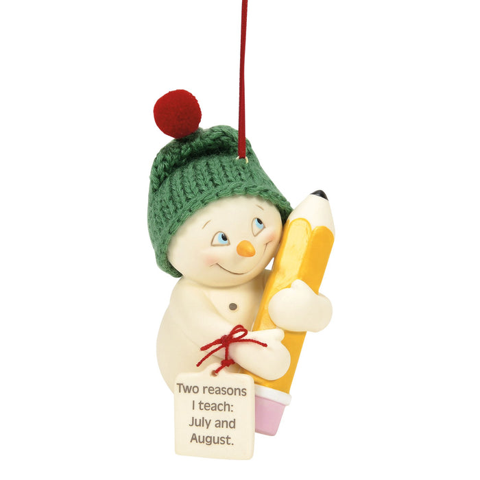 endura Two Reasons I Teach ornament